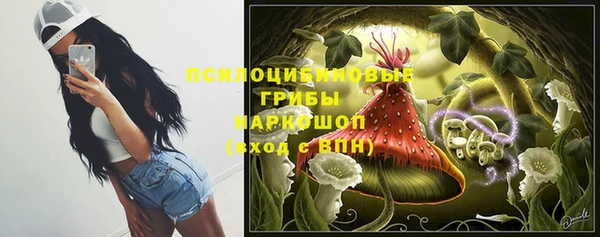 ПСИЛОЦИБИНОВЫЕ ГРИБЫ Снежногорск