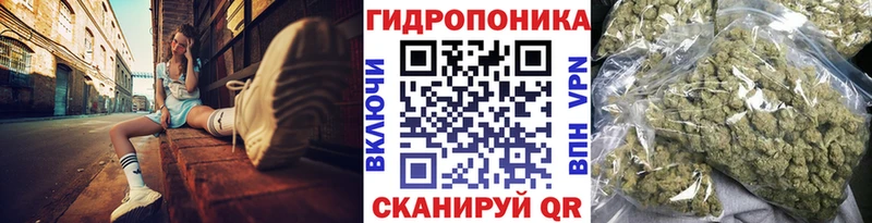 Купить  Струнино  Шишки марихуана тримм 